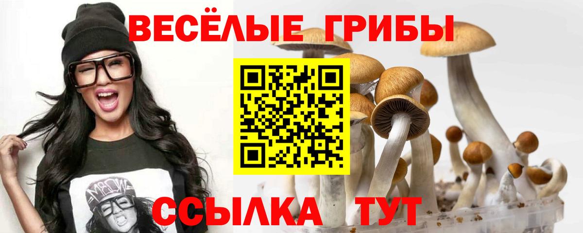 Галлюциногенные грибы ЛСД  Вход с VPN  Ярославль 